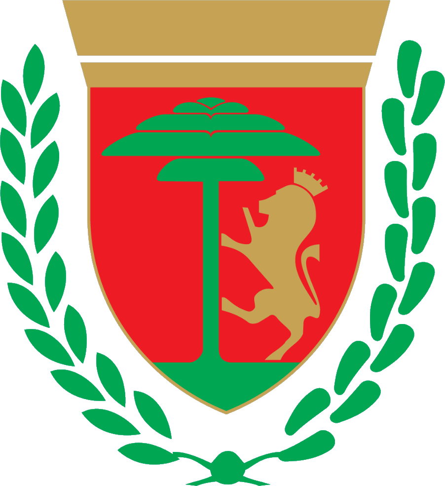 Comune di Sanremo